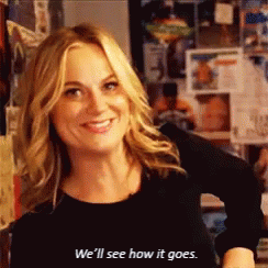 A gif of Amy Poehler saying "we'll see how it goes."