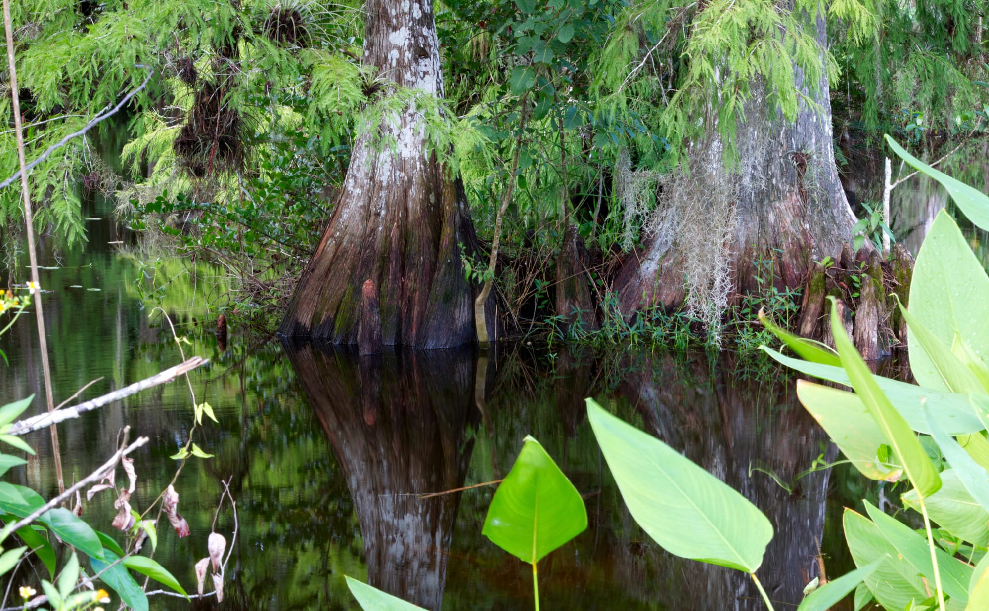 Special Coverage: Everglades Detention Center Panel at UU Miami