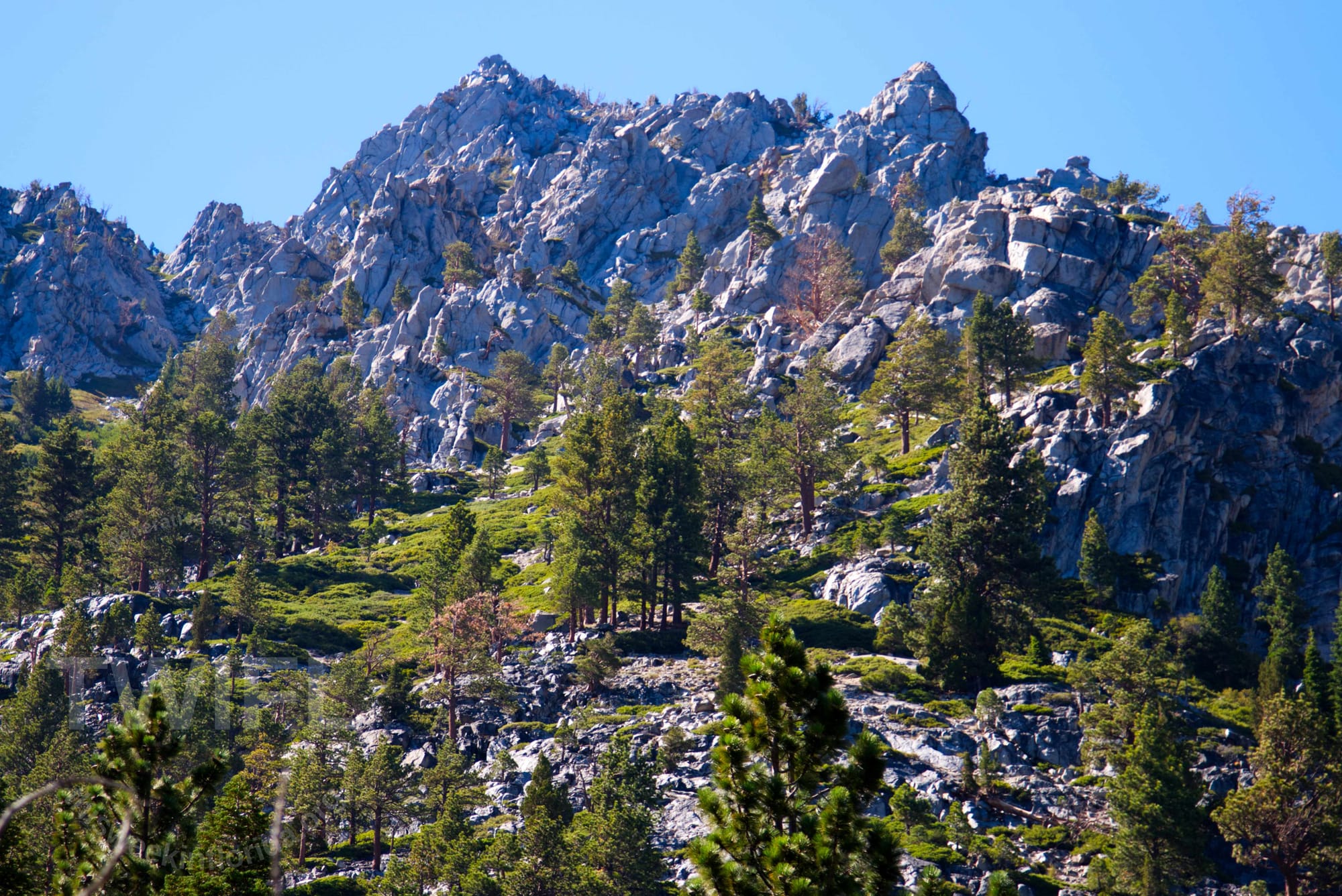California Dreaming: Week ending August 8, 2025