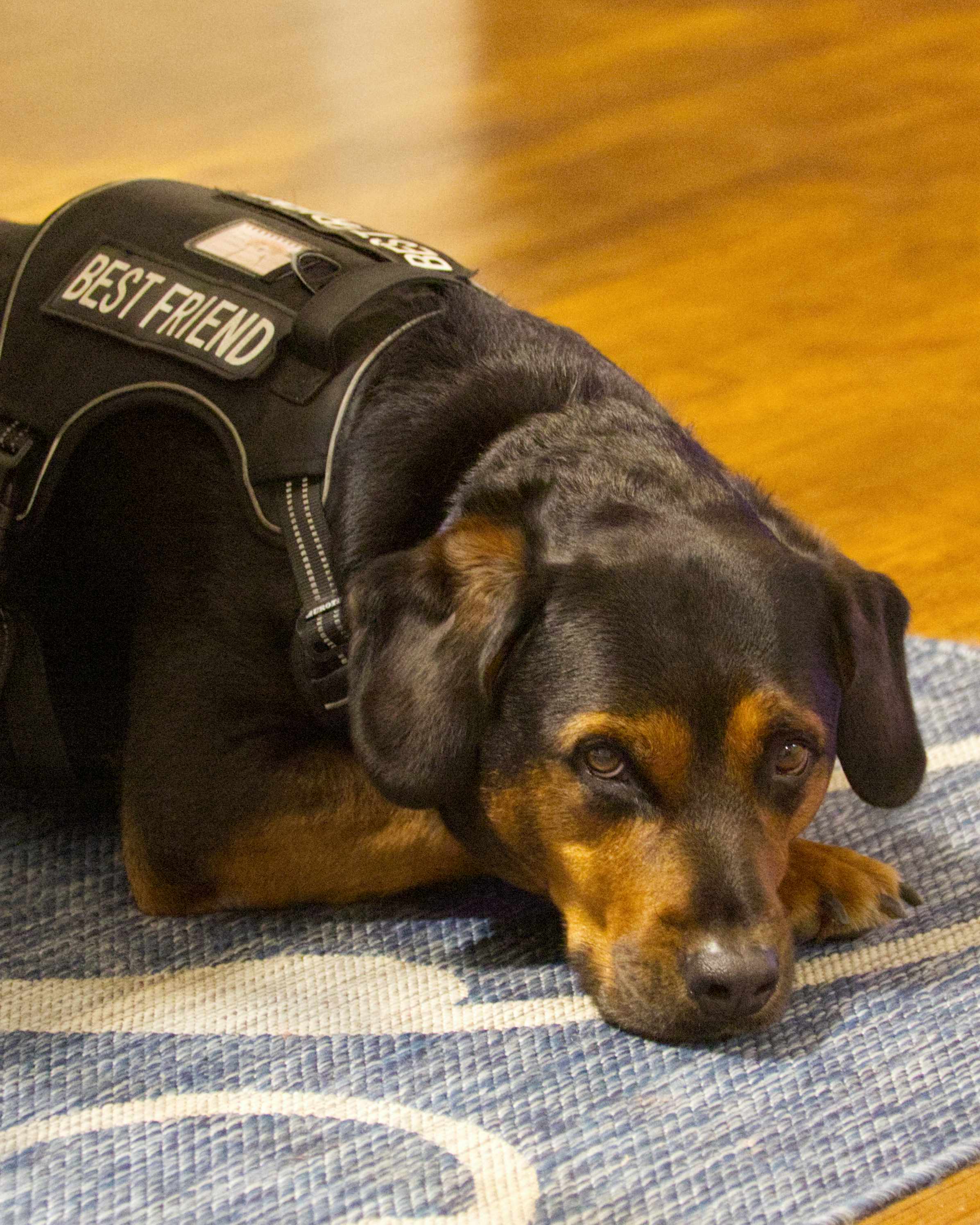 Thanksgiving in South Florida 2025