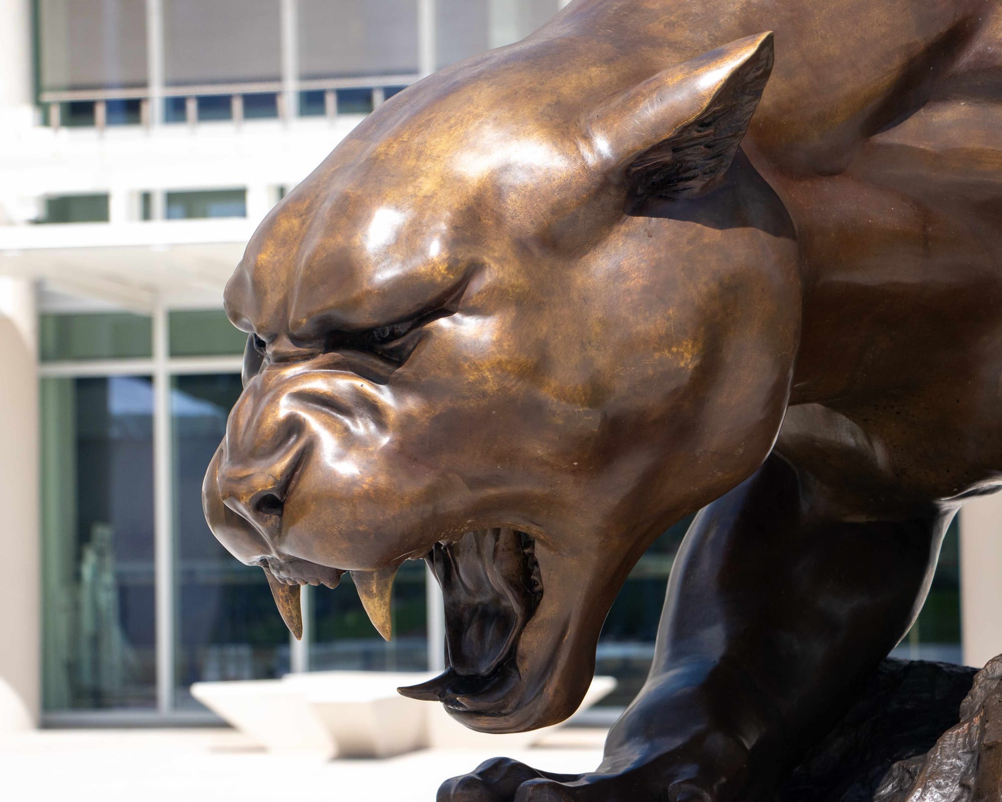 Thanksgiving in South Florida 2025