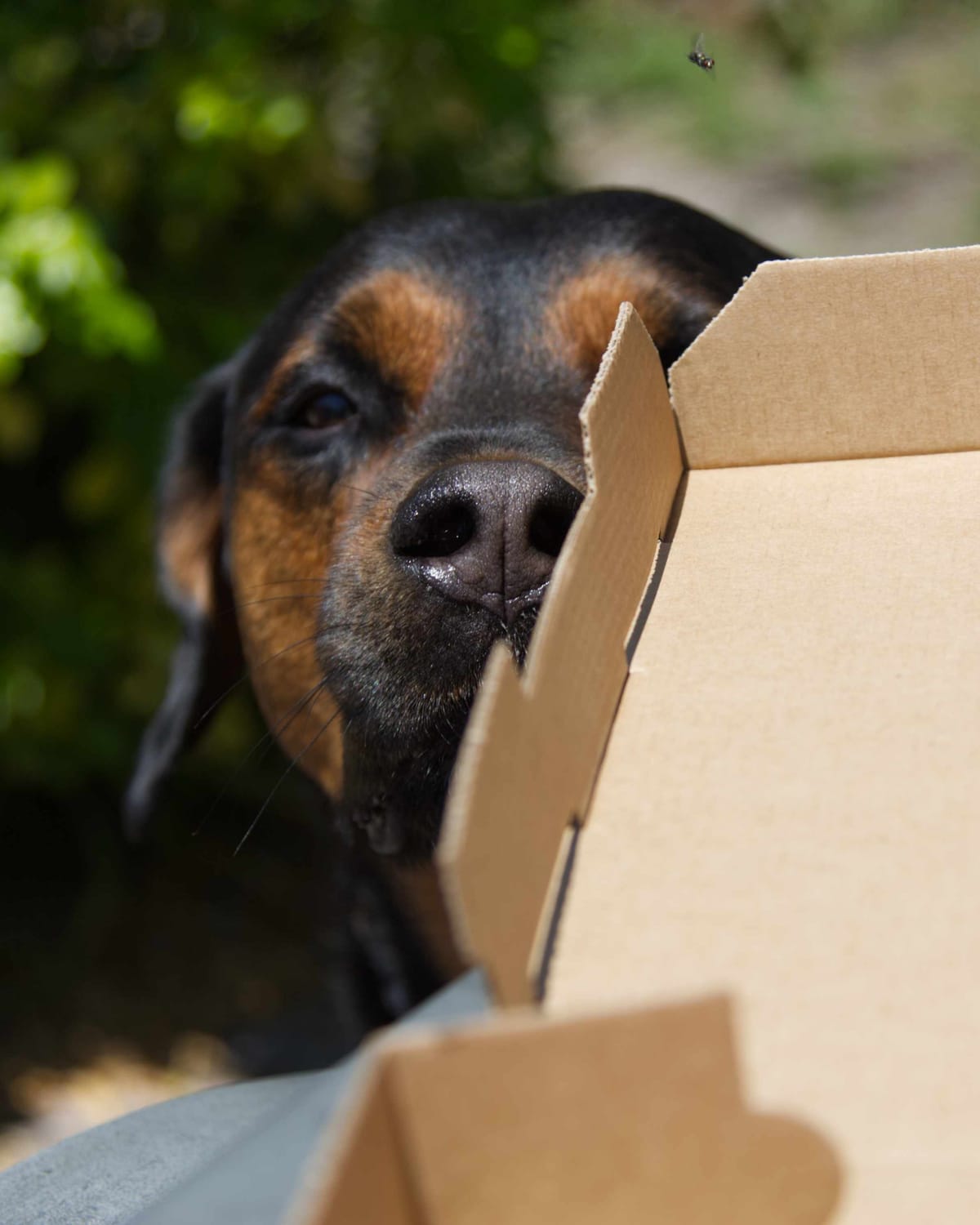 It's been a month this week ending May 23