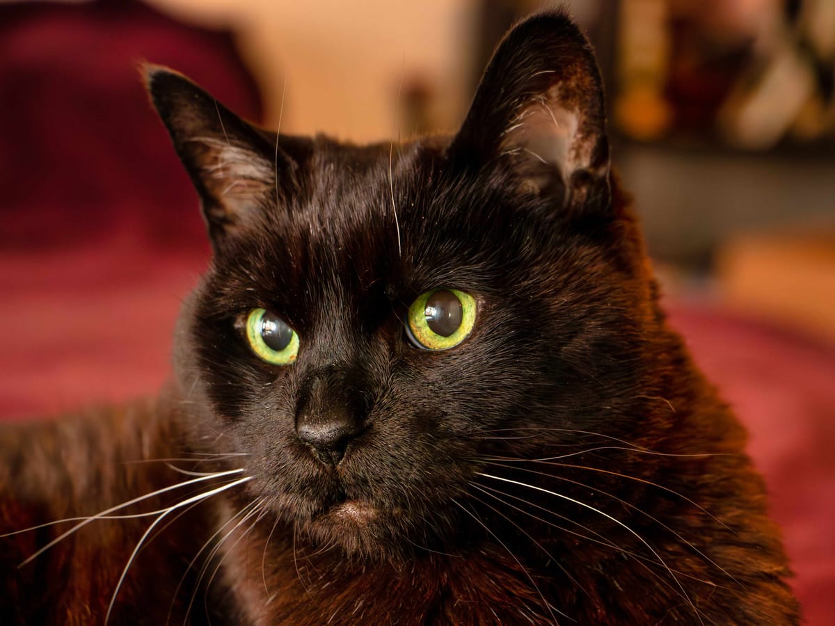 Another long one: Week ending June 13, 2025