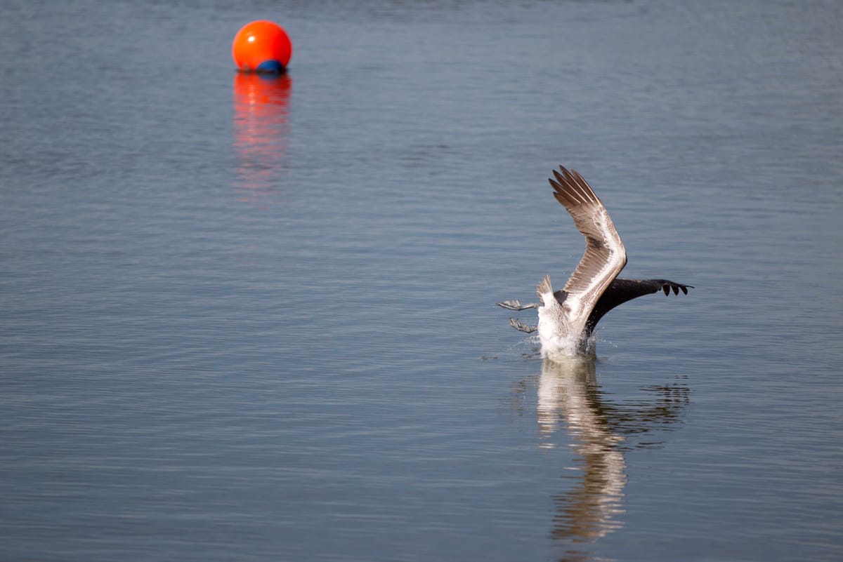 Time to dive into South Florida's week that ended December 12, 2025 (late--sorry)