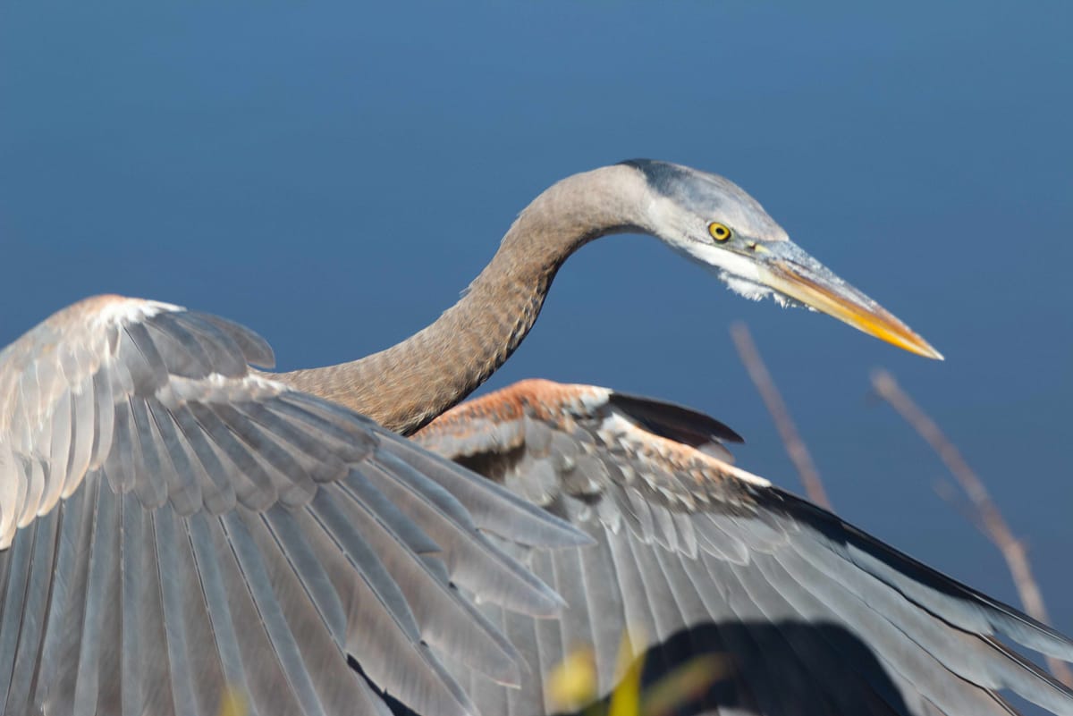 Week ending February 27, 2026