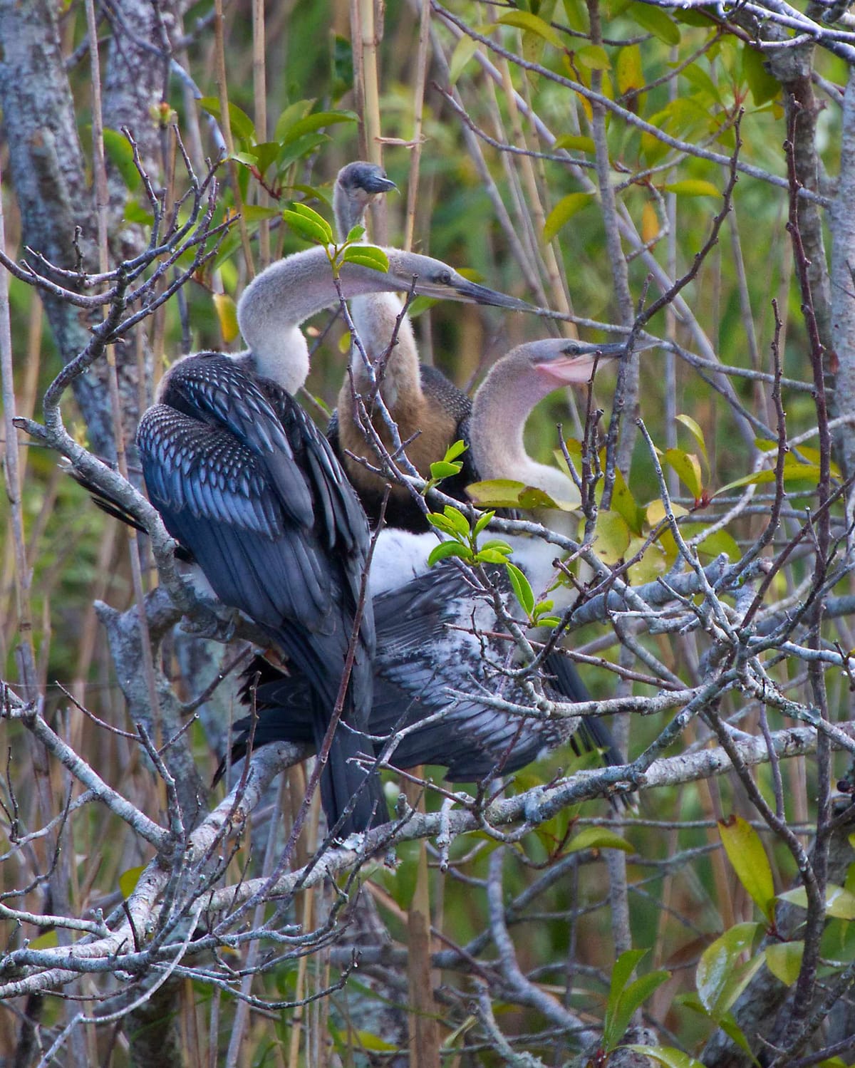 The Things that Fall Through the Cracks During a War: The Week Ending March 6, 2026