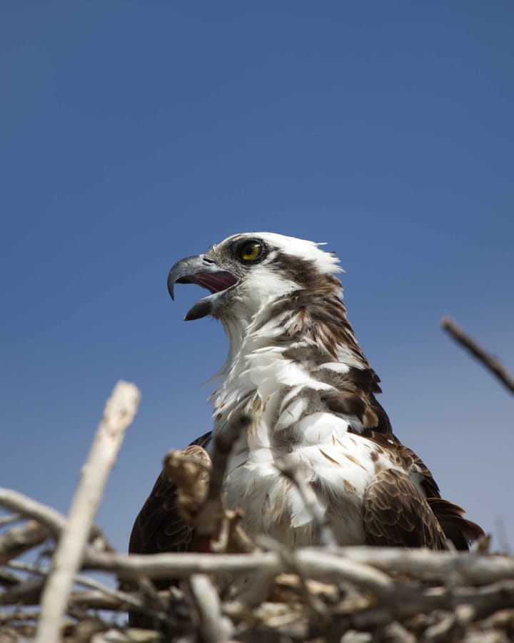 Spring is in the air: Change is coming!