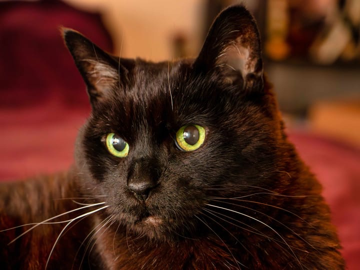 Another long one: Week ending June 13, 2025