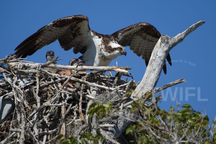 Where are our Florida taxpayer dollars going again? August 29, 2025