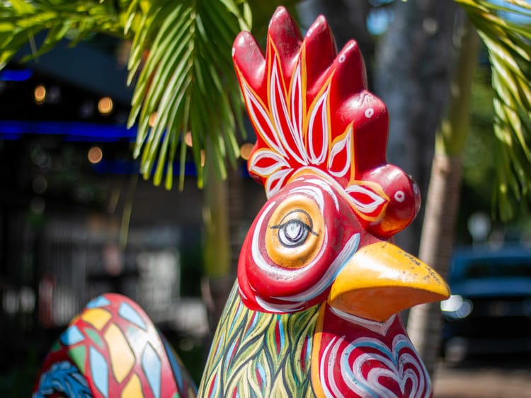 Thanksgiving in South Florida 2025