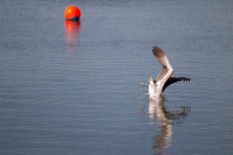 Time to dive into South Florida's week that ended December 12, 2025 (late--sorry)