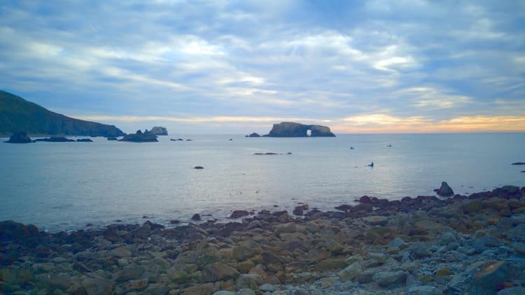 First post of the new year: TWIFL in 2026