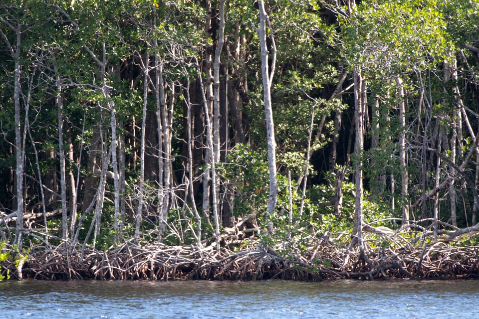 Week ending November 21, 2025