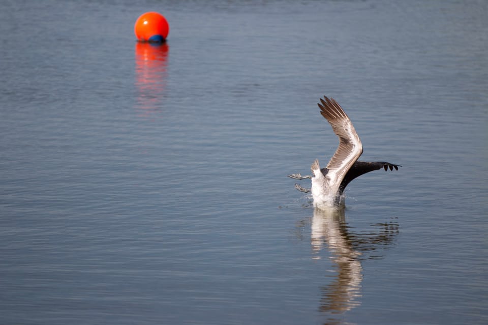 Time to dive into South Florida's week that ended December 12, 2025 (late--sorry)